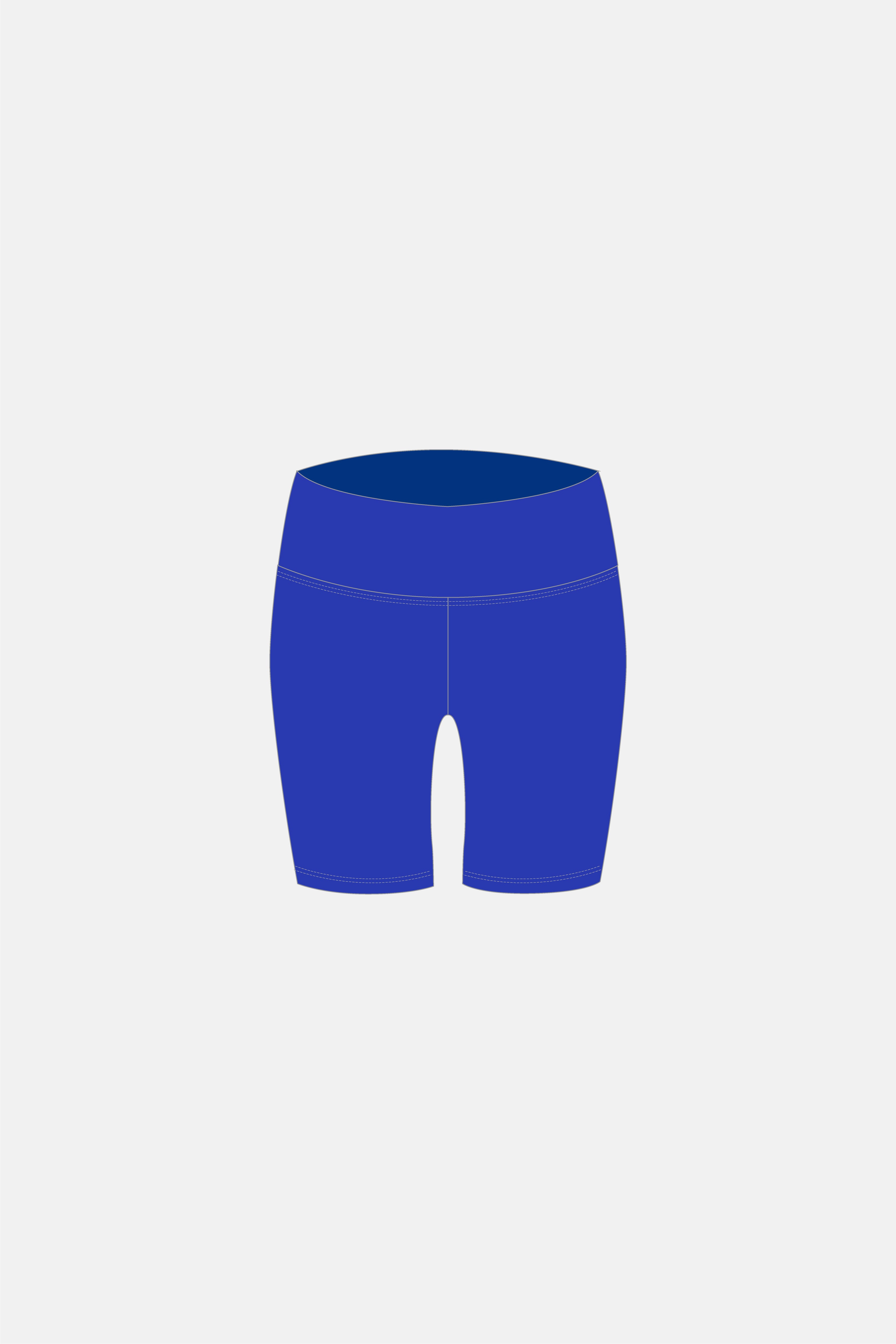 Dark Royal Long Shorts