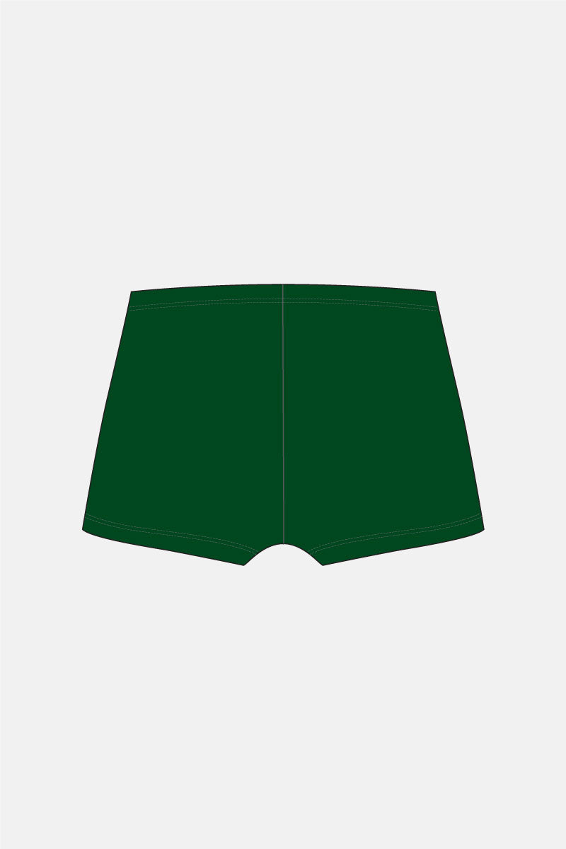Emerald Shorts Elastic