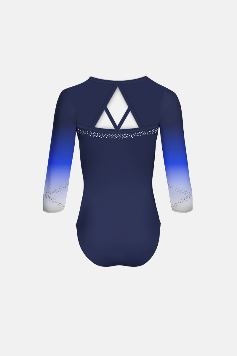Girls Level 4 - Snr Int Comp leotard